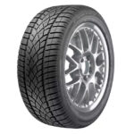 DUNLOP WINTER SPORT 3D
